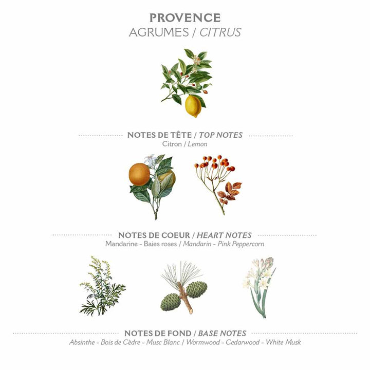 Panier des Sens - Feste Pflanzenseife Provence 150g