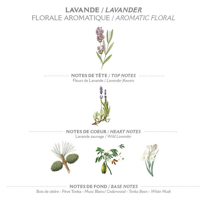 Ein Diagramm, das die Kopf-, Herz- und Basisnoten des aromatischen Blumendufts Panier des Sens - Marseiller Flüssigseife Nachfüllbeutel Lavendel 500 ml mit Abbildungen der entsprechenden Pflanzen und Elemente zeigt.