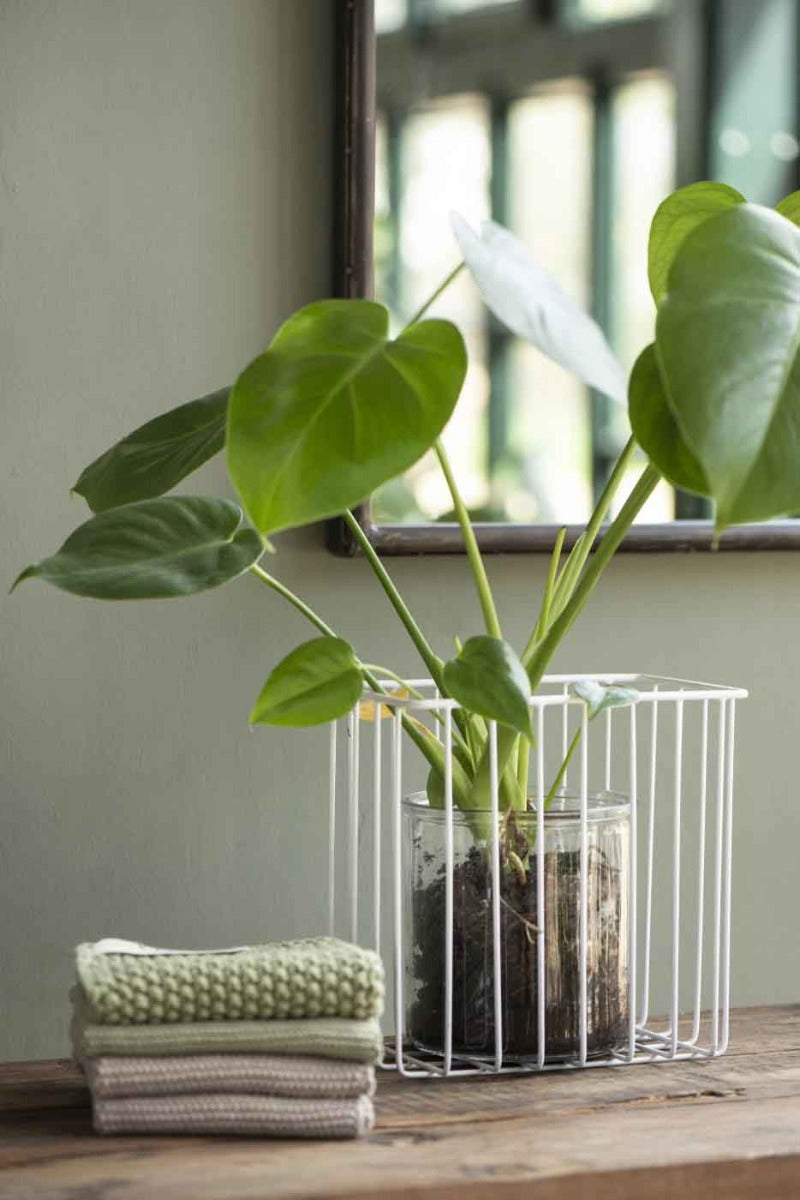 Eine Monstera-Pflanze in einem transparenten Topf, gehalten von einem weißen Metallständer auf einem Holztisch, neben Ib Laursen - Topflappen Mynte-Handtüchern, in der Nähe eines Fensters.