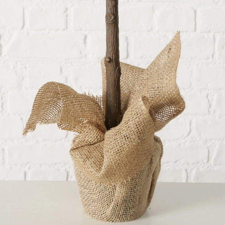 Boltze - Tanne in Jutetopf Mega 100 cm