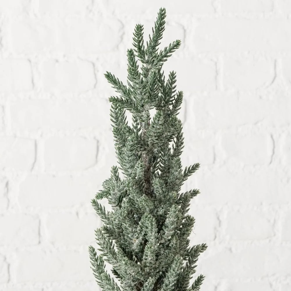 Boltze - Tanne in Jutetopf Mega 100 cm