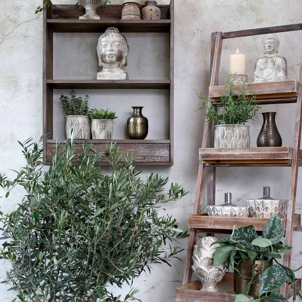 Holzregale und eine Leiter mit Topfpflanzen, Vasen und einer Chic Antique - Öllampe Zement mit Goldmuster vor einer strukturierten Wand. Im Vordergrund stehen ein Olivenbaum und andere Grünpflanzen.