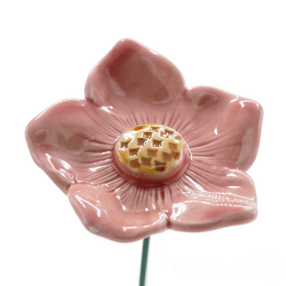 Eine Department-M - Gartenstecker-Petunie mit gelber Mitte, die aufwendige Blütenblatt- und Mittendetails aufweist, ist vor einem schlichten weißen Hintergrund abgebildet.