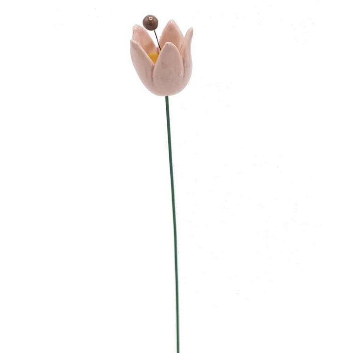 Eine einzelne Department-M-Gartenstecker-Tulpenblume mit einem schlanken grünen Stiel und zwei braunen kugelförmigen Akzenten an der Spitze.