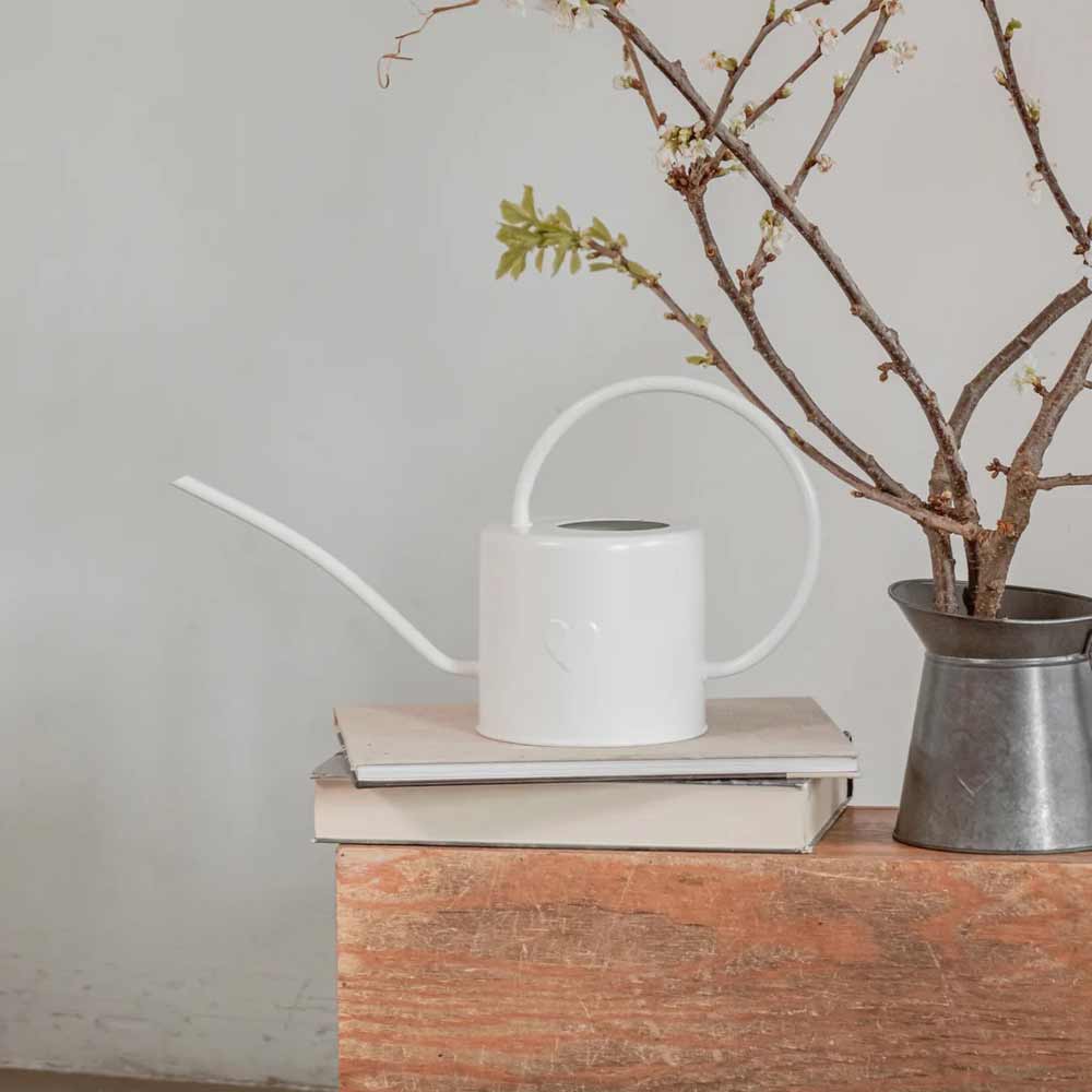 Die Eulenschnitt-Gießkanne in Weiß steht auf zwei geschlossenen Büchern neben einem Topfzweig mit spärlichen Blättern, alles angeordnet auf einer Holzoberfläche vor einer schlichten Wand.