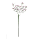 Trockenblumen