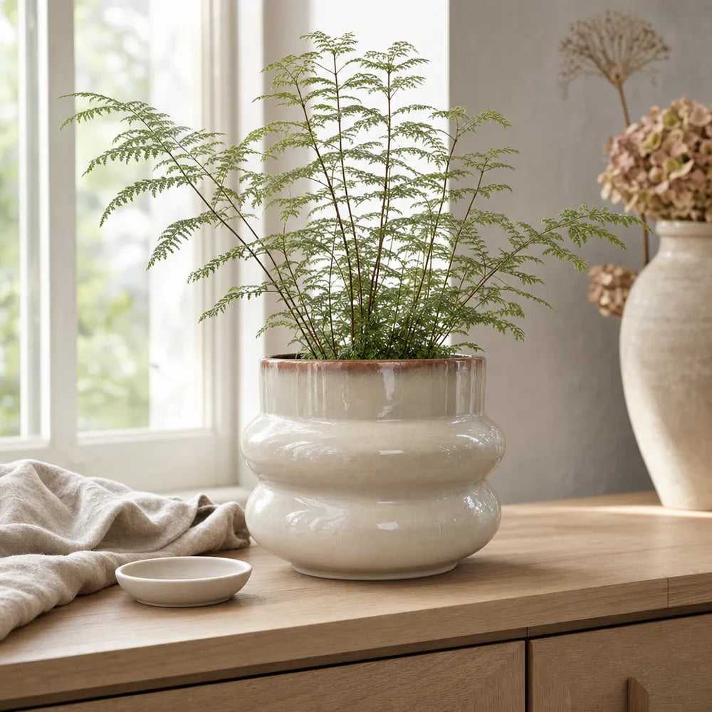 Alsaba Home - Glasierter Keramiktopf Blossom XL mit Wellenstruktur