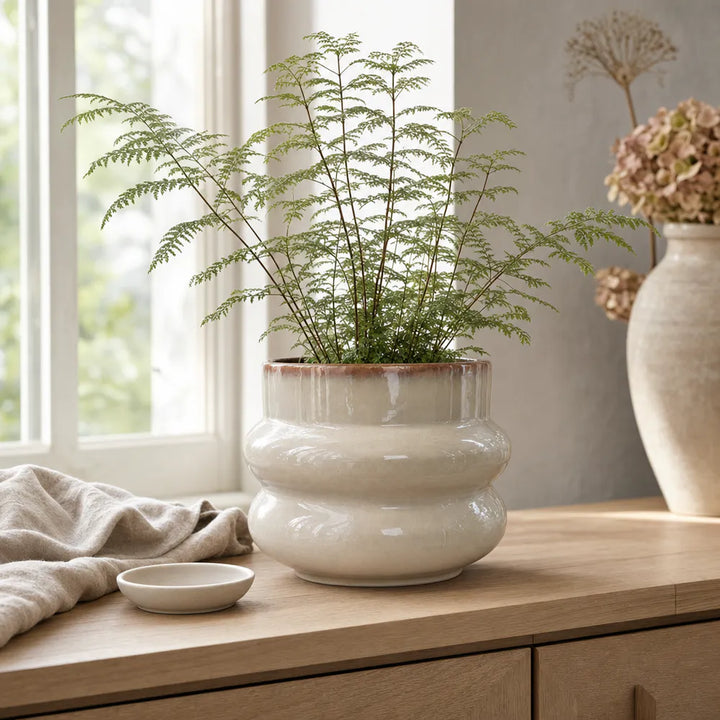 Alsaba Home - Glasierter Keramiktopf Blossom XL mit Wellenstruktur