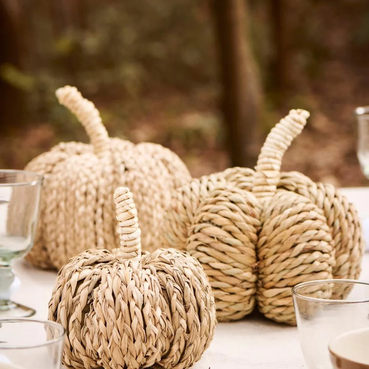 Ib Laursen - Dekokürbis aus Quecke