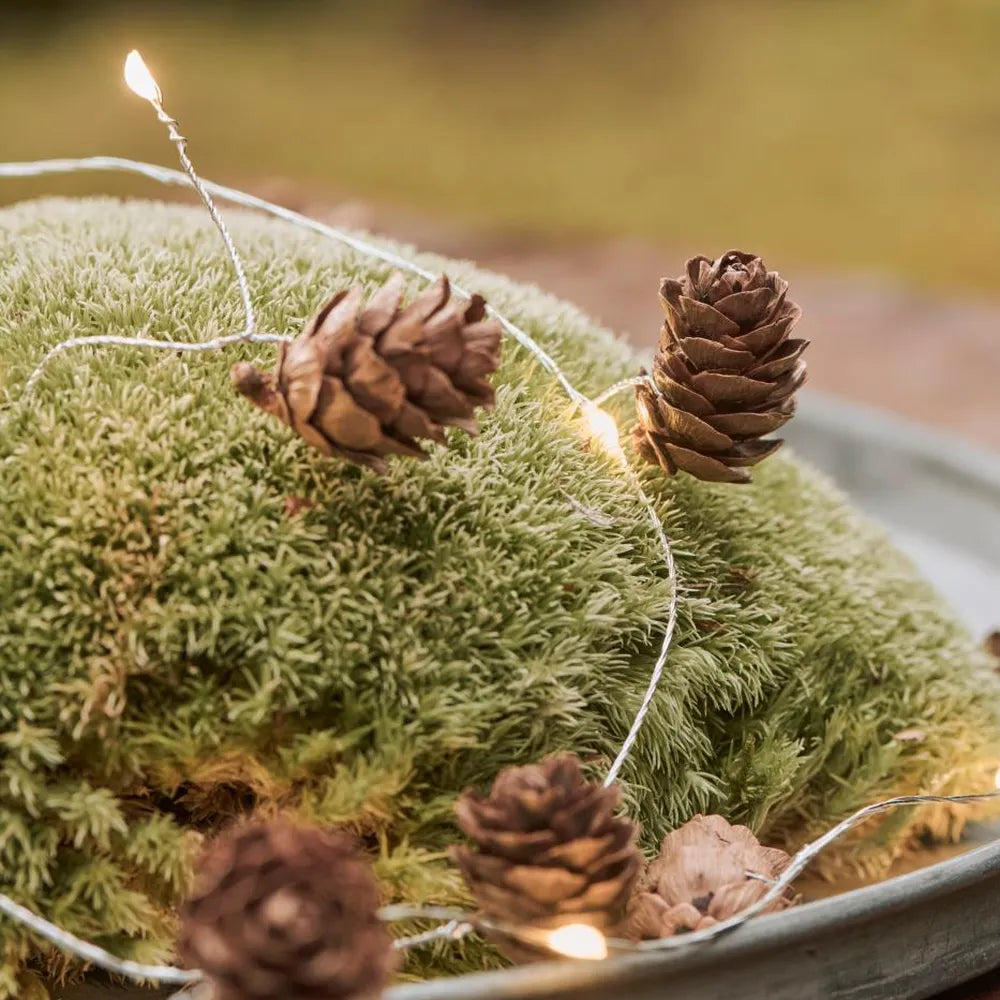 Ib Laursen - Lichterkette mit 10 LED-Lichtern und Zapfen für drinnen