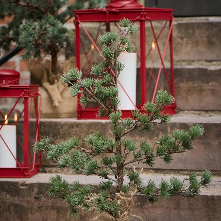 Vor der Steintreppe steht ein kleiner Tannenbaum, im Hintergrund drei rote Ib Laursen Rote Laterne viereckig mit Kreuz über dem Glas, in denen jeweils eine weiße Kerze steckt. Die Szene strahlt eine festliche Atmosphäre aus.