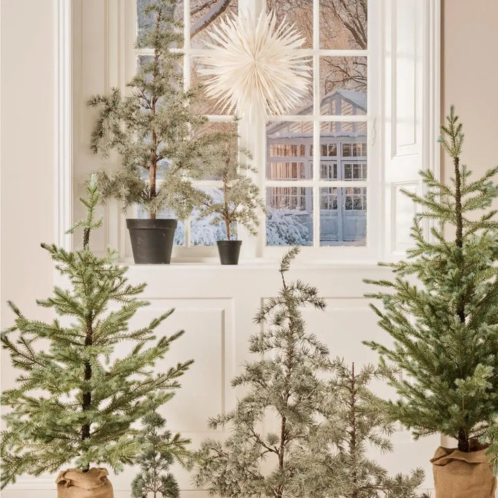 Ib Laursen - Zedernbaum künstlich aufgestammt mit Rindenfuß 60 cm