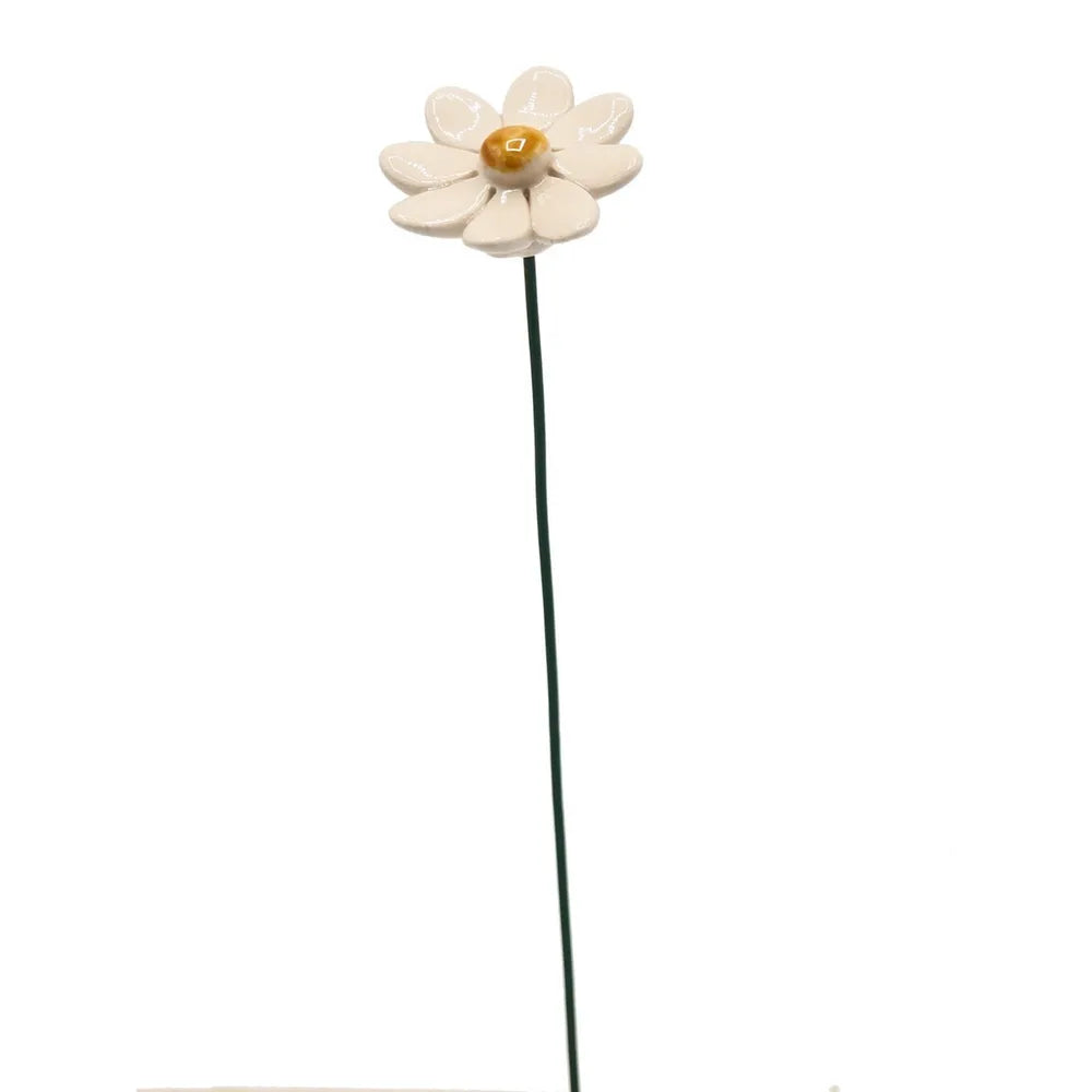Department-M - Gänseblümchen Blume Keramik klein weiß