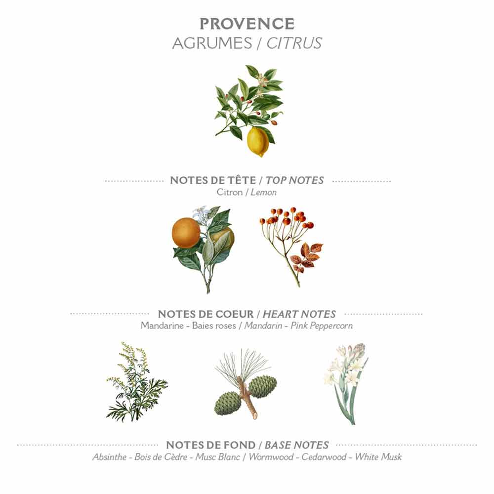 Illustration verschiedener Panier des Sens - Marseiller Flüssige Handseife Provence 500ml Früchte und Pflanzen, angeordnet, um Kopf-, Herz- und Basisnoten in der Parfümerie darzustellen.