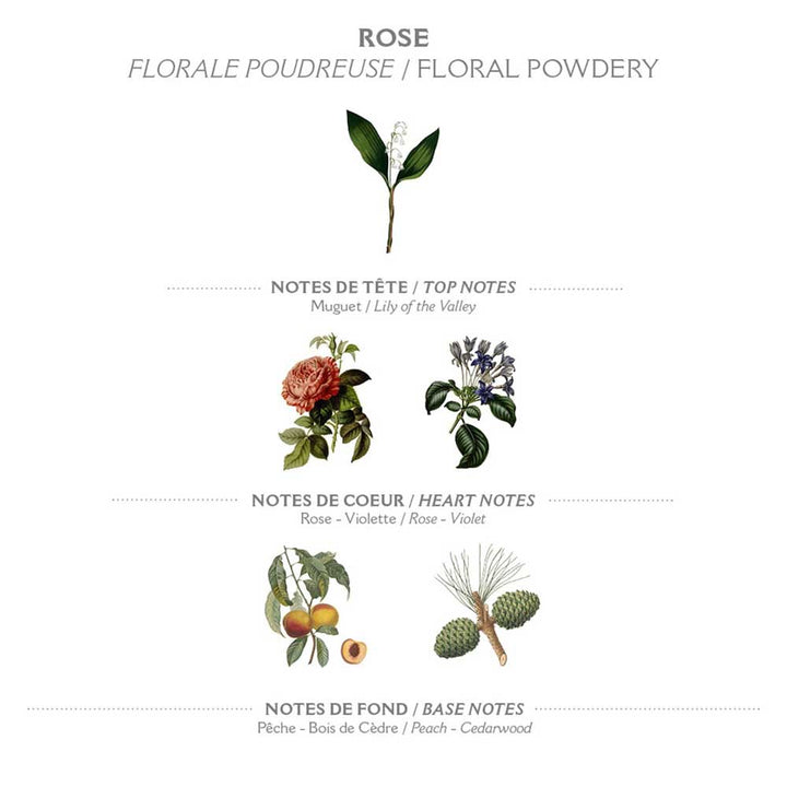 Illustration von Panier des Sens - Marseiller Flüssigseife Nachfüllbeutel Rose 500ml Noten, kategorisiert in Kopf-, Herz- und Basisnoten, mit jeweils entsprechenden Pflanzen.