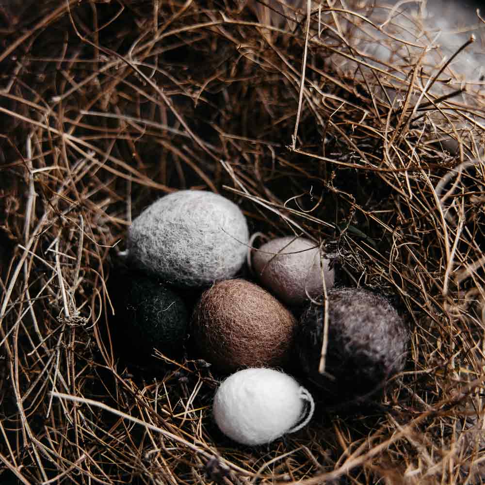 Fühlte Ullas Eier in einem Nest.
