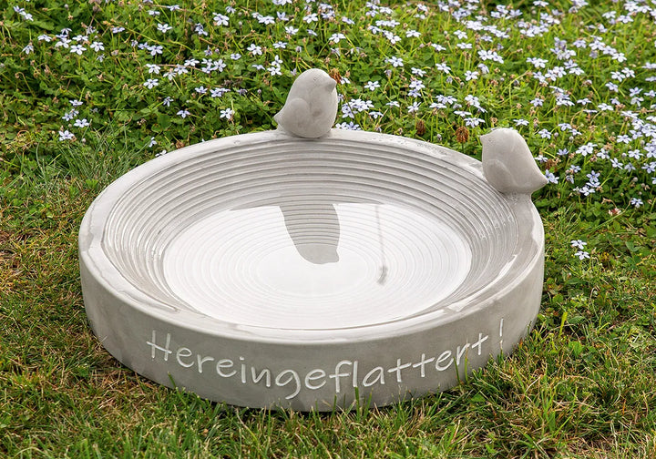 Gilde - Vogeltränke, rund, "Hereingeflattert"