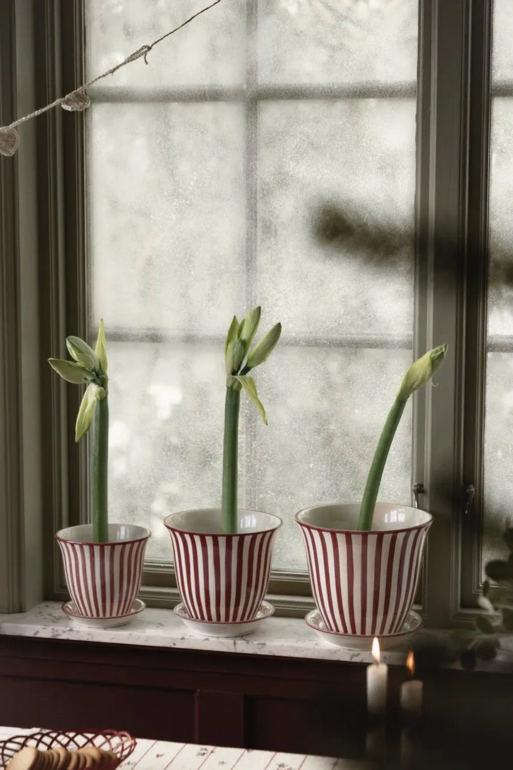 Strömshaga Blumentopf Miriam Steinzeug Untersetzer
