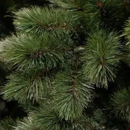 Triumph Tree Künstlicher Weihnachtsbaum Camden Green