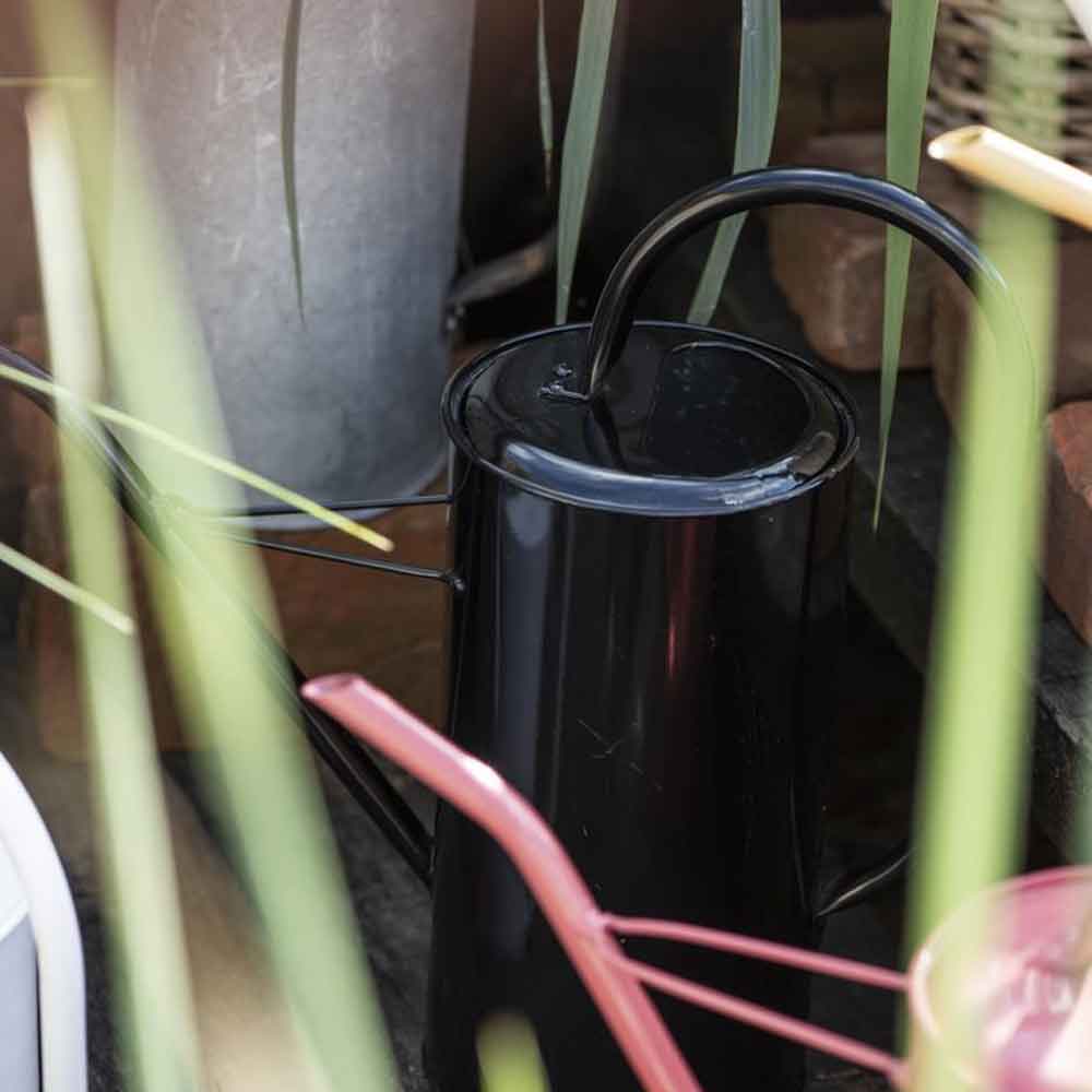 Ib Laursen - Giesskanne schwarz 2,7 Liter eingebettet zwischen Pflanzen.