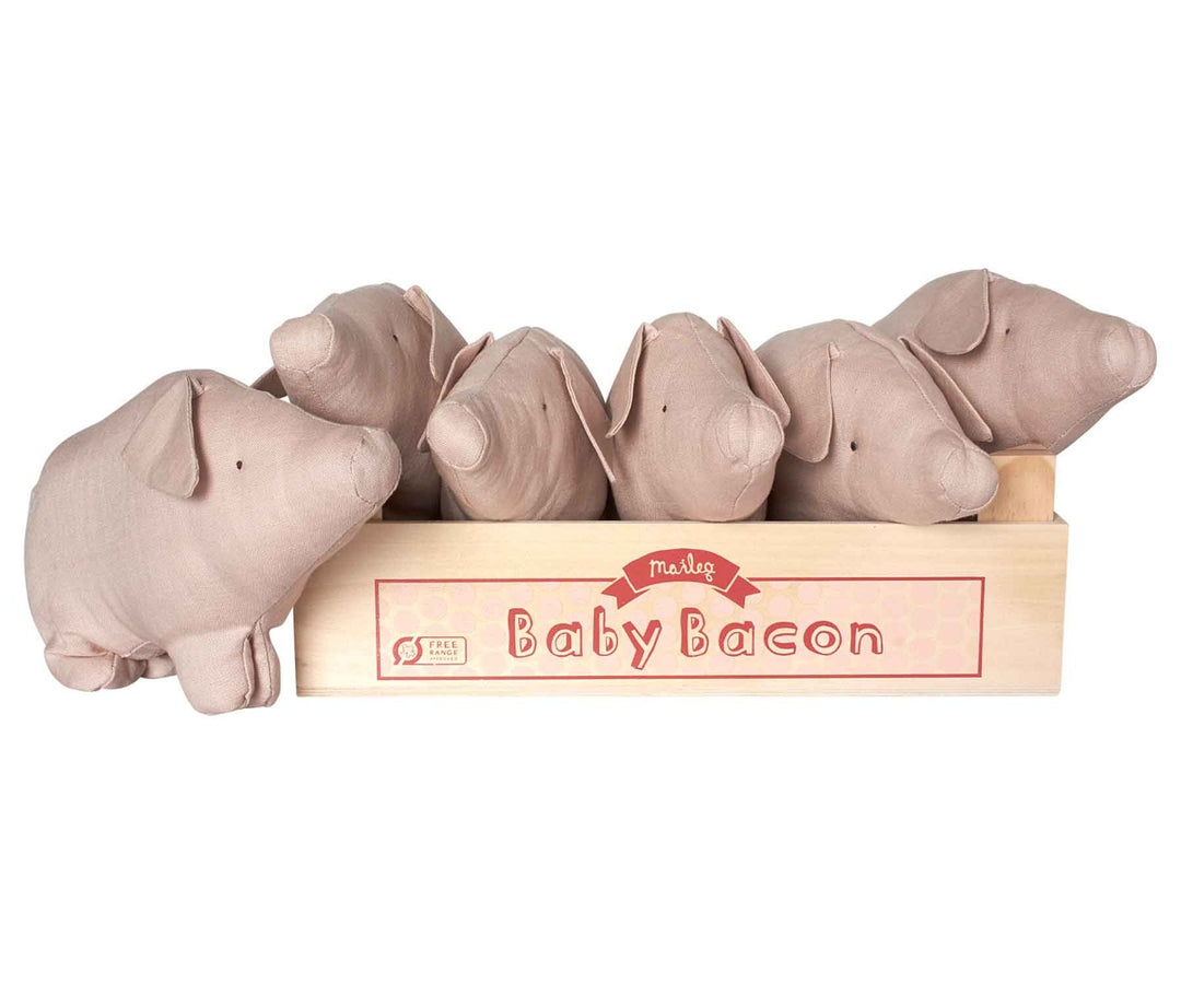 Maileg - Schweinchen "Baby Bacon" in Box 6er-Set